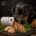 Tirol-BARF Huhn pur - 100% Huhn