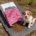 WINNER PLUS SUPER PREMIUM Puppy Starter