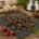 getrocknete Rindfleisch-Drops